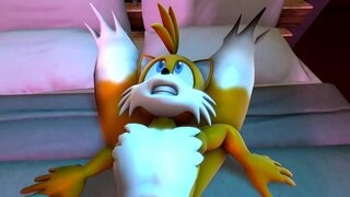 ���ेनिला बनाम पूंछ